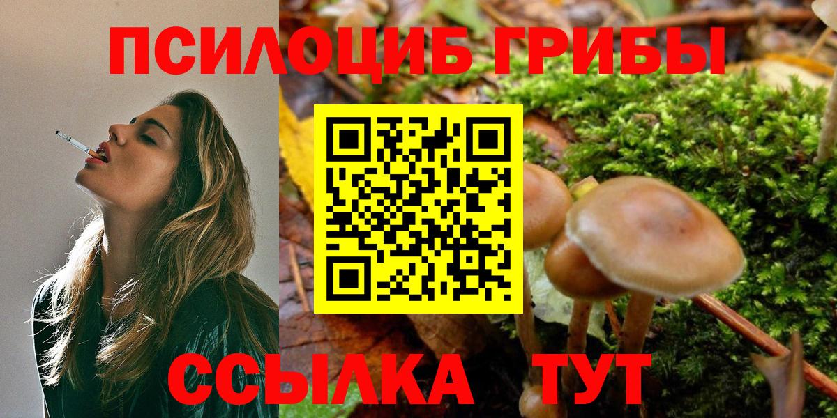 Псилоцибиновые грибы MAGIC MUSHROOMS Сланцы