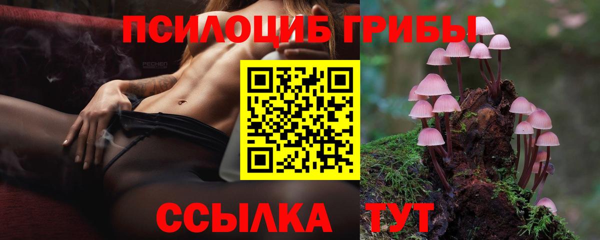 Сланцы  Псилоцибиновые грибы мицелий  Вход с VPN 